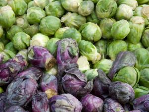 Fn_mixed Brussels Sprouts 01_s4x3