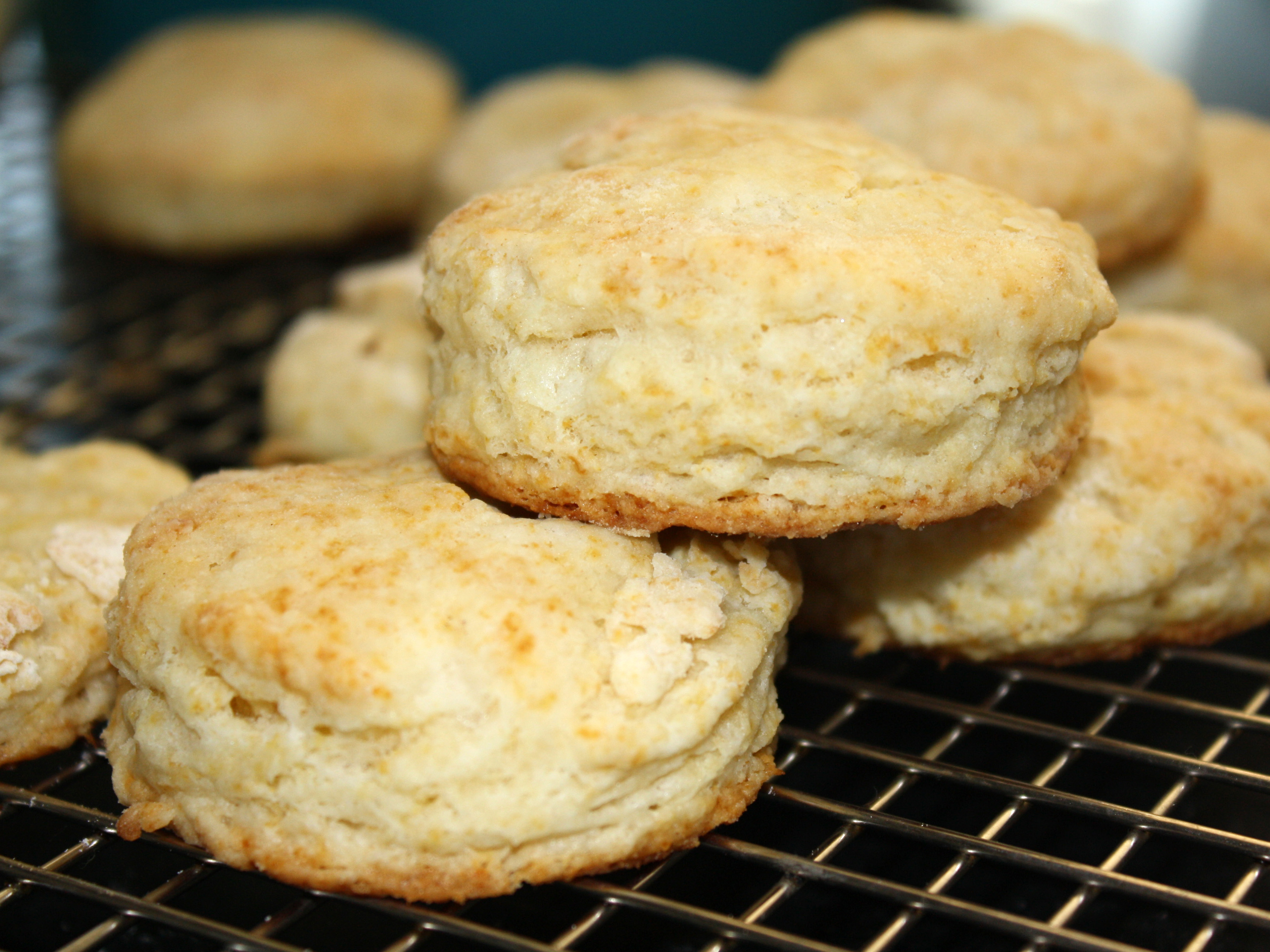 how to make baking powder biscuits without shortening