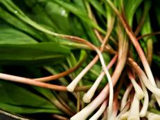 Ramps are a true farmers' market treasure. A member of the garlic and onion family, they're only available for a short time in the spring.