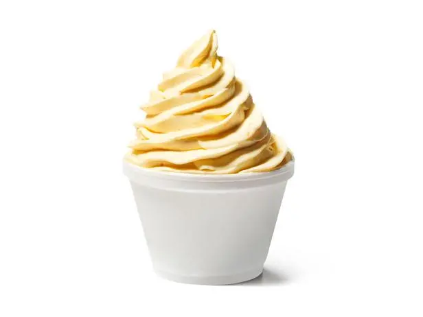 Creamy Orange-Vanilla Frozen Custard