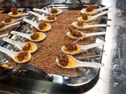 FNS7 Episode 4 Finalist Jeff Mauro's "All-Bran Cereal" Dish Beauty for Kellogg's Camera Challenge.  Ingredients:  Carrot Ginger Soup w/ All-Bran Cereal Crusted Pork Tenderloin Crouton topped w/ Candied Orange Zest.