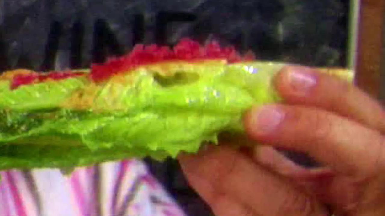 Easy Salad with Frozen Vinegar