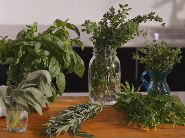 How to Buy and Store Herbs: A Step-By-Step Guide
