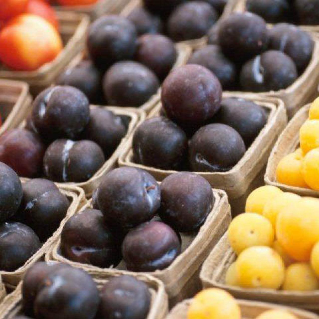 Plums: Varieties, Season, and Picking the Best