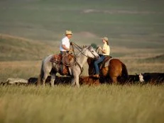Ree Drummond - Host serves cowboy sandwiches and breakfast punch to her husband Ladd and children Alex, Paige, Bryce and Todd and the cowboys during a cattle drive in episode 1 as seen on Food Network's Pioneer Woman Season 1. 