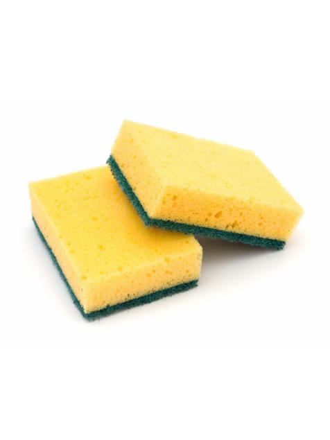 Kitchen sponges are bacteria's dream home