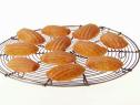 Honey Almond Madeleines cool on a cooling rack.