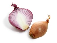 FNM-onion-.tif