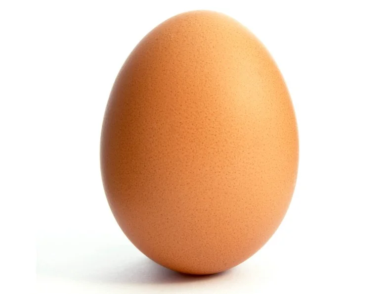 eggs new 21
