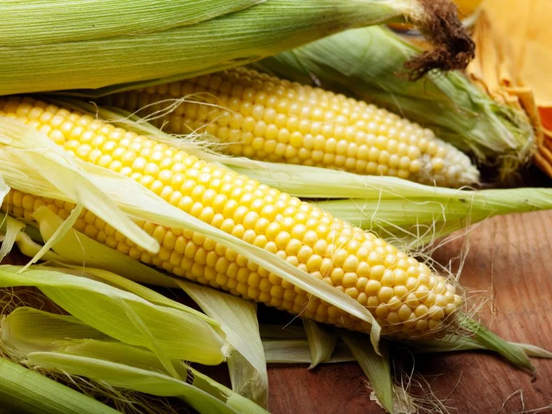 Corn.