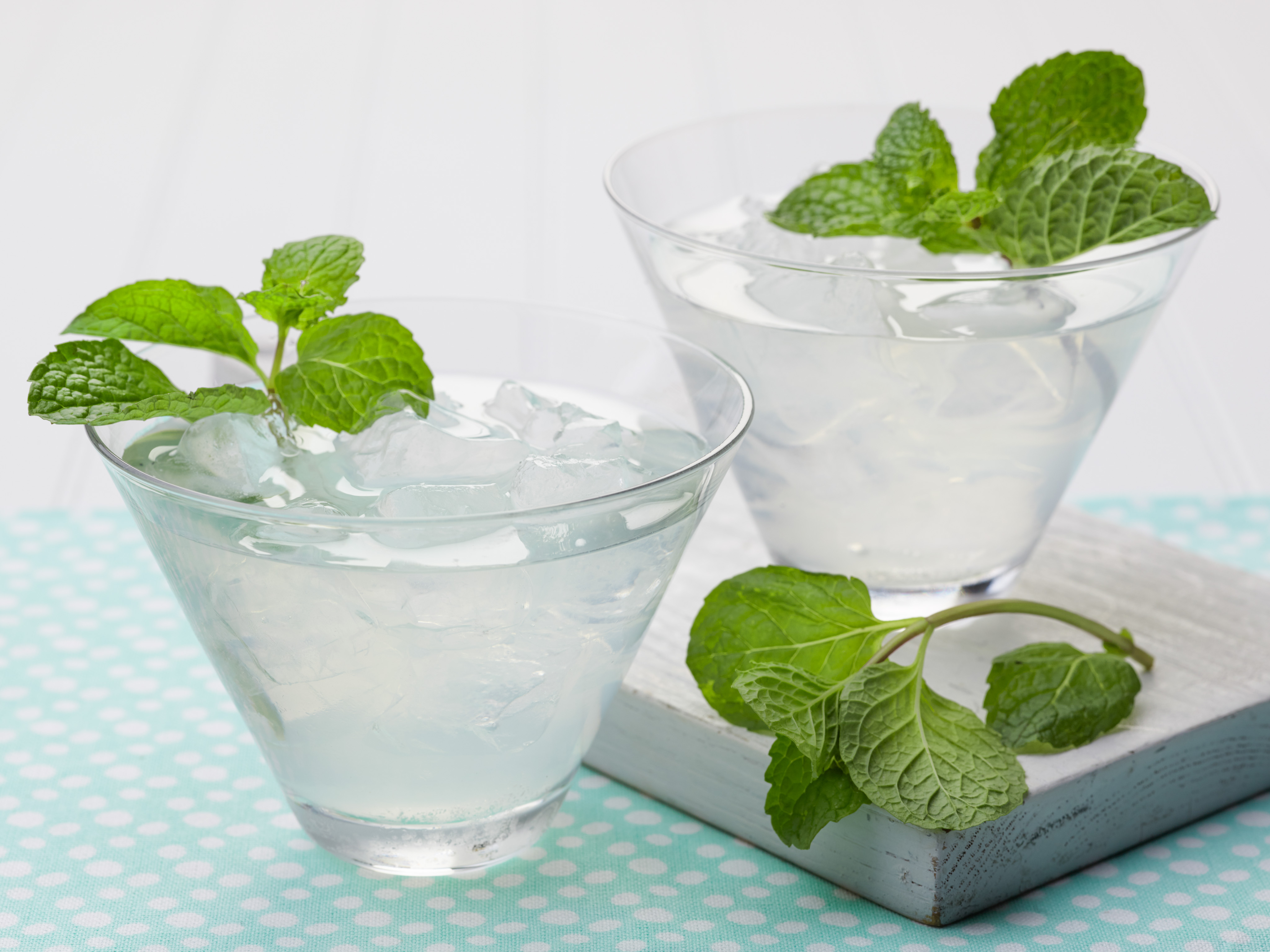 Vodka Mojito Recipe Chef s Resource Recipes