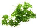 Herb of the Month: Thyme, Food Network Healthy Eats: Recipes, Ideas, and  Food News