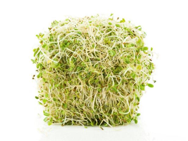 raw-sprouts-good-or-bad-food-network-healthy-eats-recipes-ideas