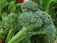 Broccoli is usually found later in the summer, some varieties of this vitamin-packed veggie can be found the markets now.