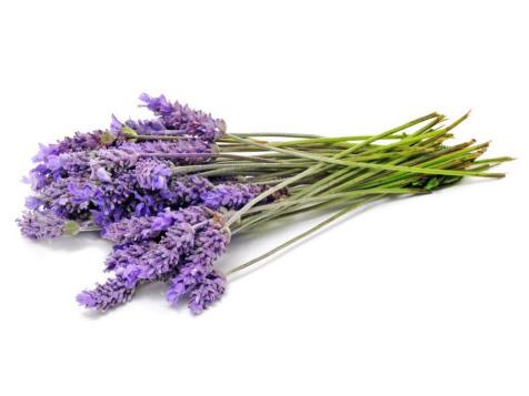 Herb of the Month: Lavender, Food Network Healthy Eats: Recipes, Ideas,  and Food News