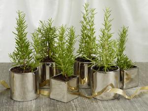 FN-Holiday_Centerpiece-Rosemary_s4x3
