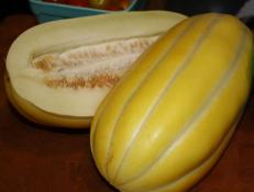 Have you heard of Sun Jewel Melon? This Asian melon is a true farmers' market find.