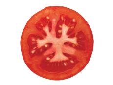 tomatoes sliced in half