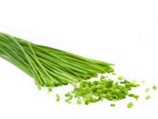 chopped chive over white background