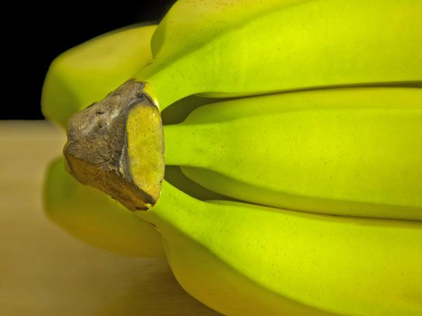 unripened bananas
