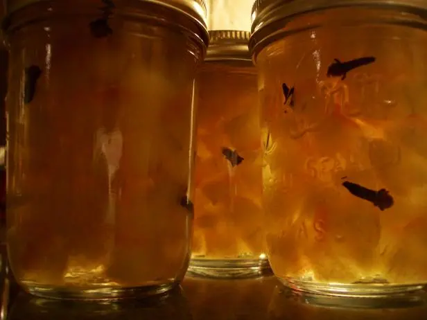 Watermelon Rind Pickles Recipe | Sean Timberlake | Food Network