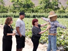 Celebrity contestants Kathy Najimy, Hines Ward and Carnie Wilson select their ingredients from the Challenge Scarecrow for the "Farm Challenge," as seen on Food Network’s Rachael vs. Guy: Celebrity Cook-Off, Season 2. 
