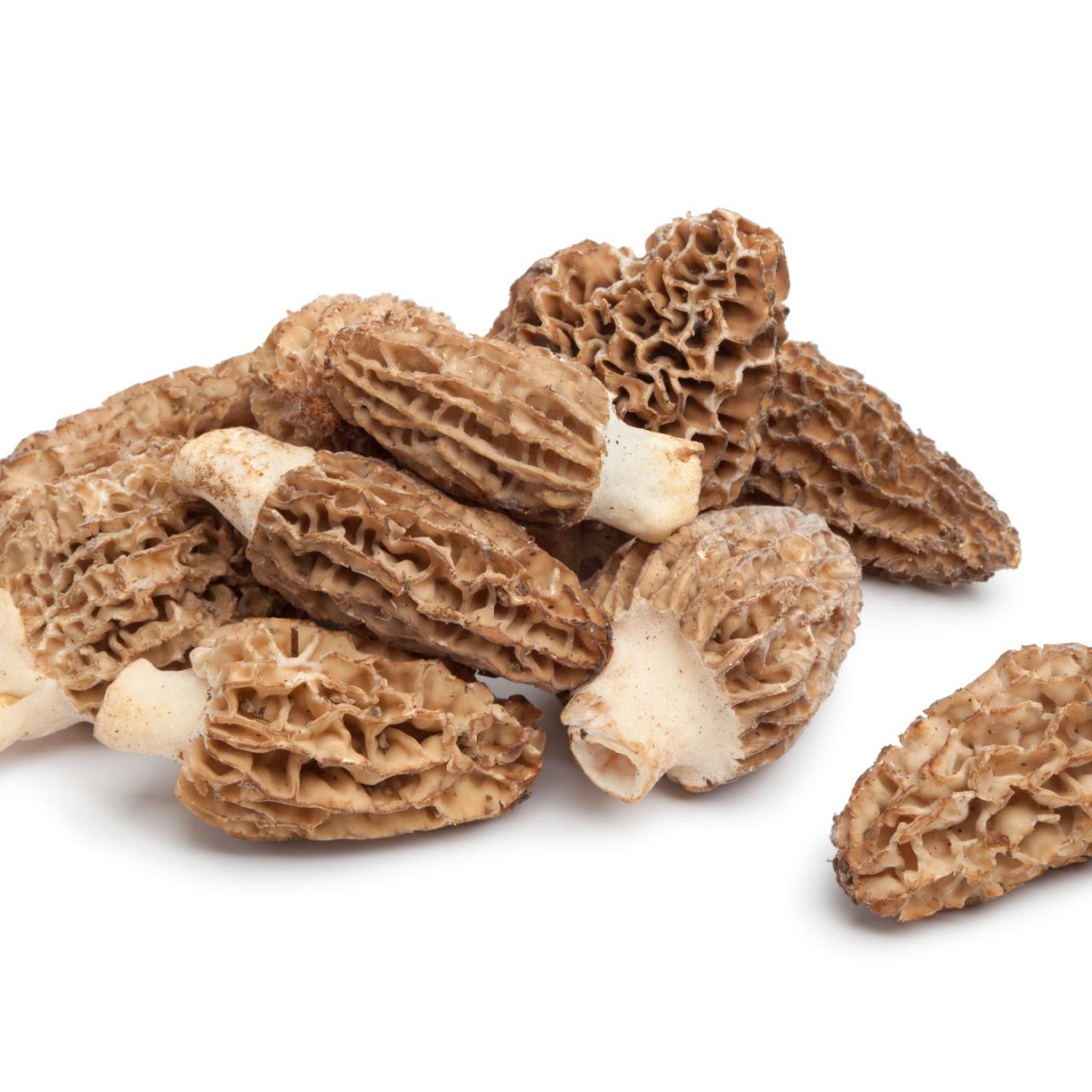 Drying Morel Mushrooms - Beyond The Chicken Coop