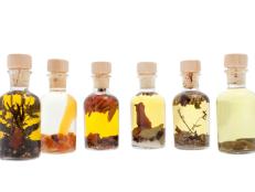 Different edible oils