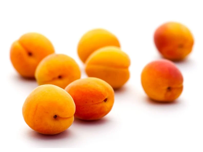 Apricots on white background