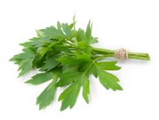 Have you even heard of this fresh herb? Here's why lovage deserves some love.
