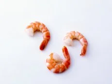 Prawns