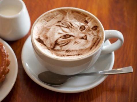 Sculpted from the Foam: A Kitty in Your Coffee Cup