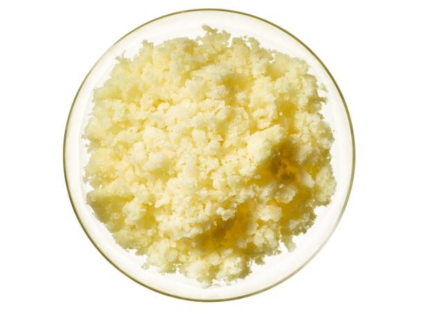 Pina Colada Granita