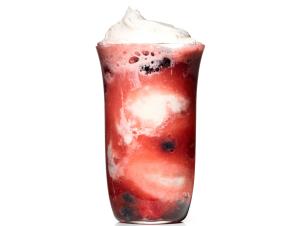FN0214141_BERRIES_CREAM_02_NO_SPOON.tif