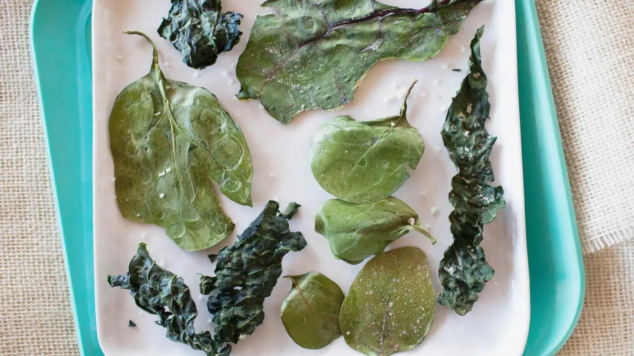 Alton: Healthy Chip How-Tos