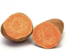 Batata (Ipomoea batatas)