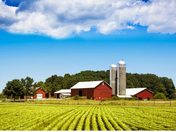 10 Fascinating Facts About Farms and Food