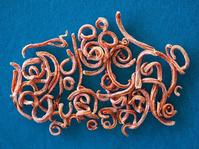 dehydrated baby carrots