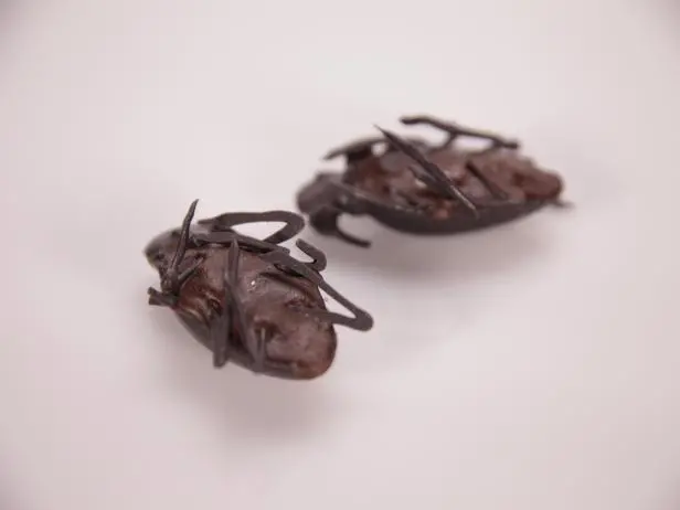 Banana-Habanero Chocolate Cockroaches Recipe - Chef's Resource Recipes