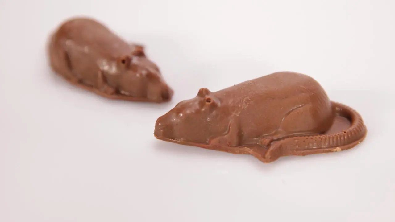 Sugar mouse nyc reviews (82) 사진