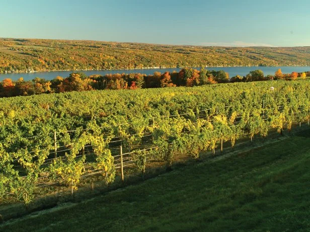 Where to Eat and Drink in The Finger Lakes : Food Network 