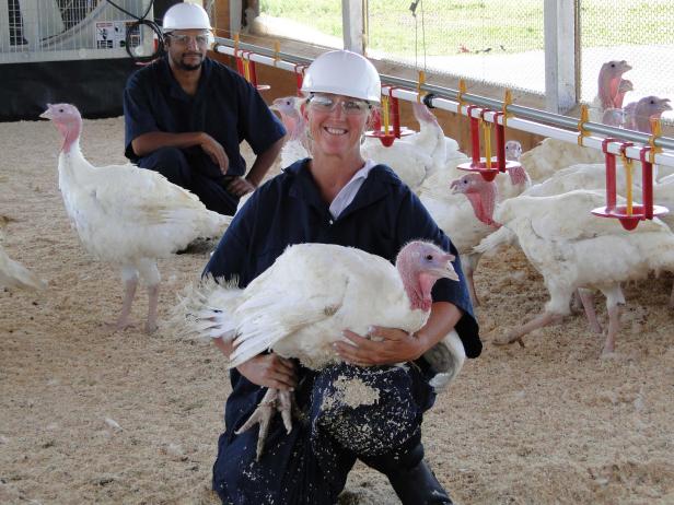 Presidential Turkey Grower Joe Hedden Takes Our Questions