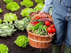 Farmer with basket full of vegetables