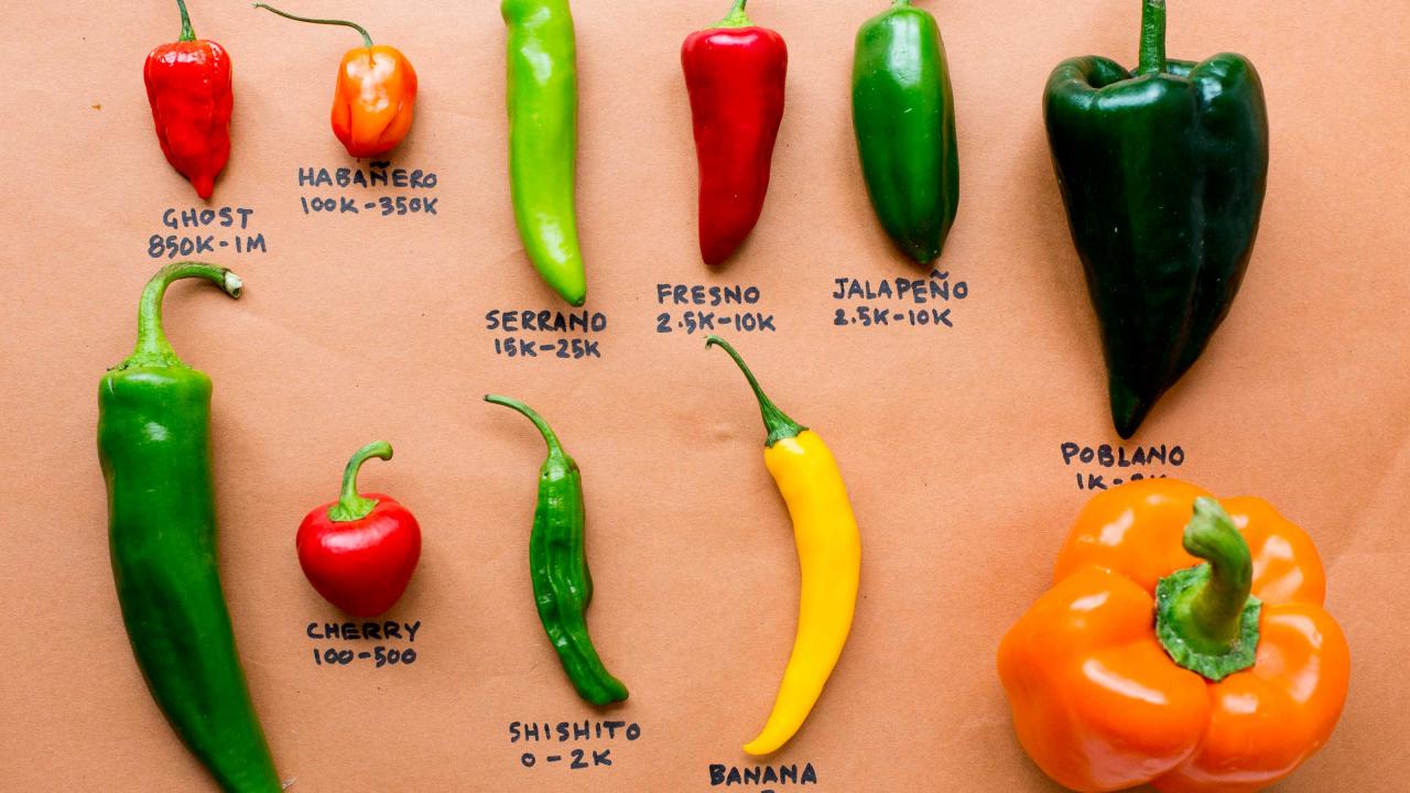 From the Competition to Your Kitchen: Chile Pepper Cheat Sheet, Food  Network Star: Show & Contestant Behind-the-Scenes News & Videos