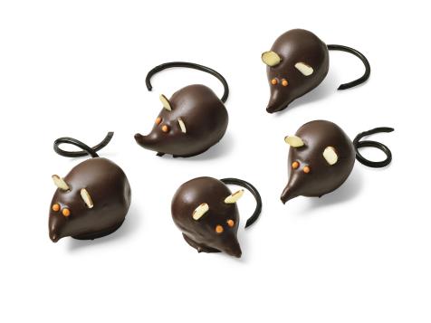 Sugar and Spice and Everything Mice