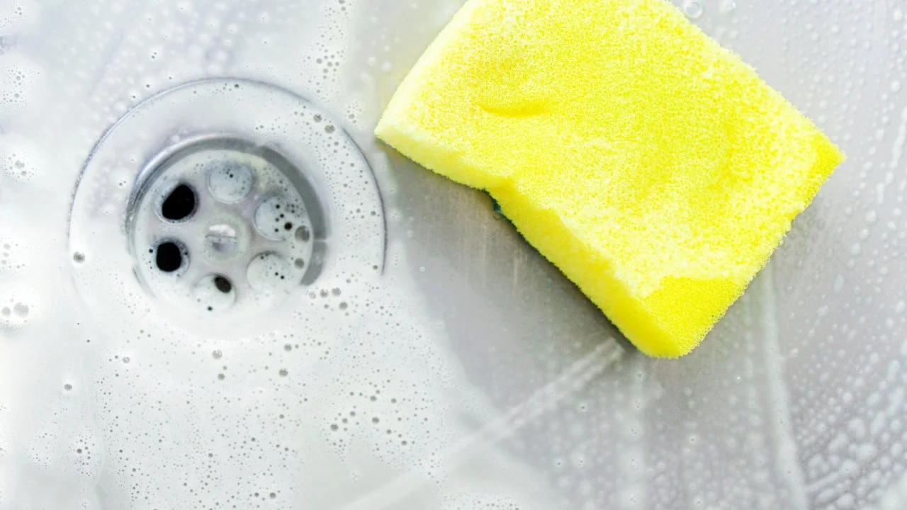 How to Clean a Kitchen Sponge : Food Network | Help Around the 