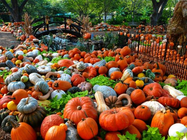 5 Over-the-Top Pumpkin Displays to Visit This Fall | FN Dish - Behind ...