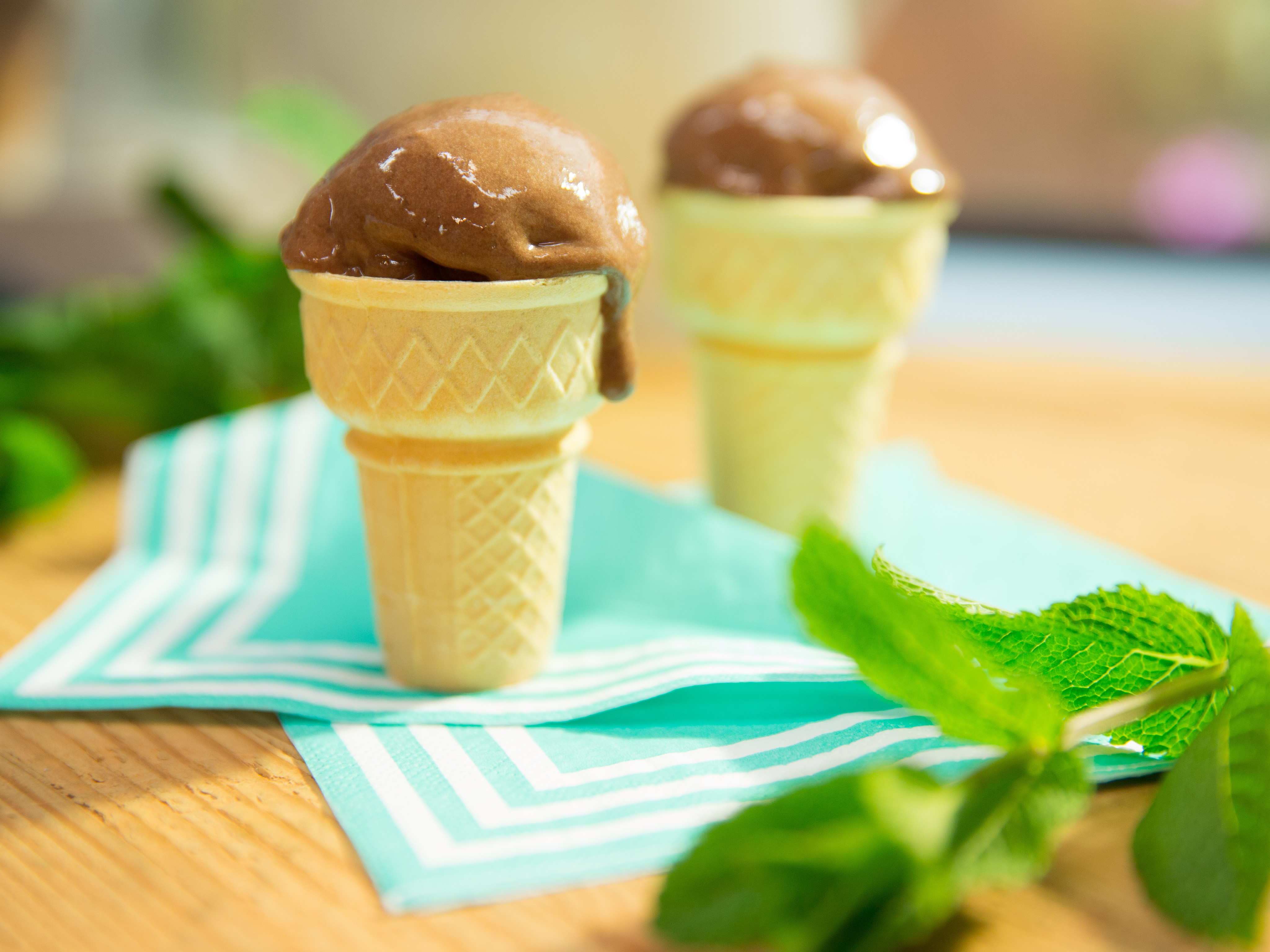 Mint Chocolate Chip Ice Cream Recipe Chef S Resource Recipes