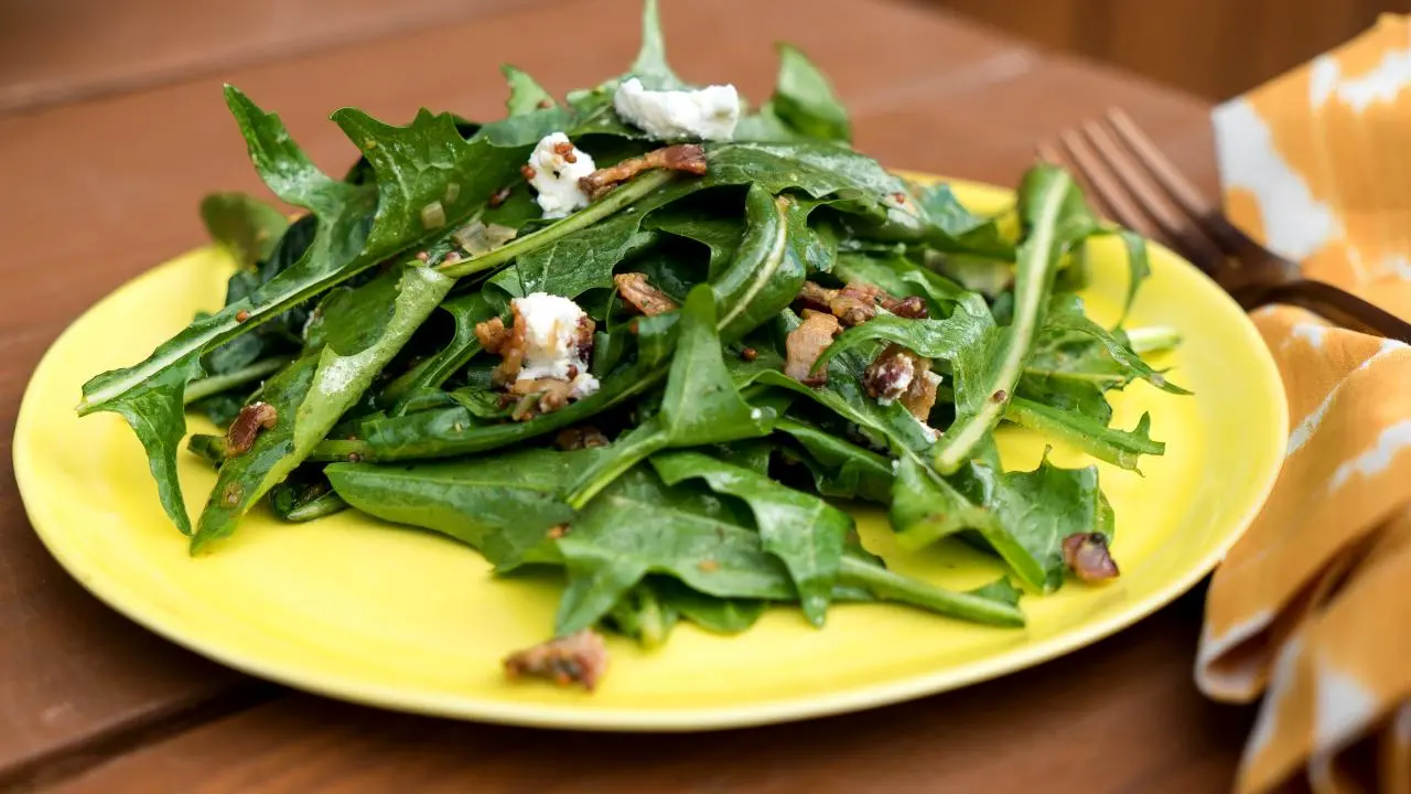 Bacon and Shallot Vinaigrette