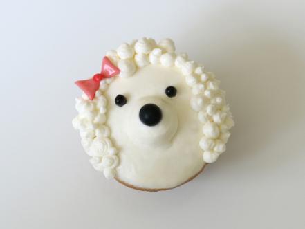 cupcake poodle dog